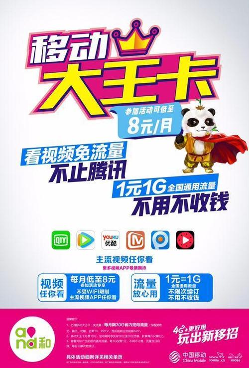 惠州大王流量卡