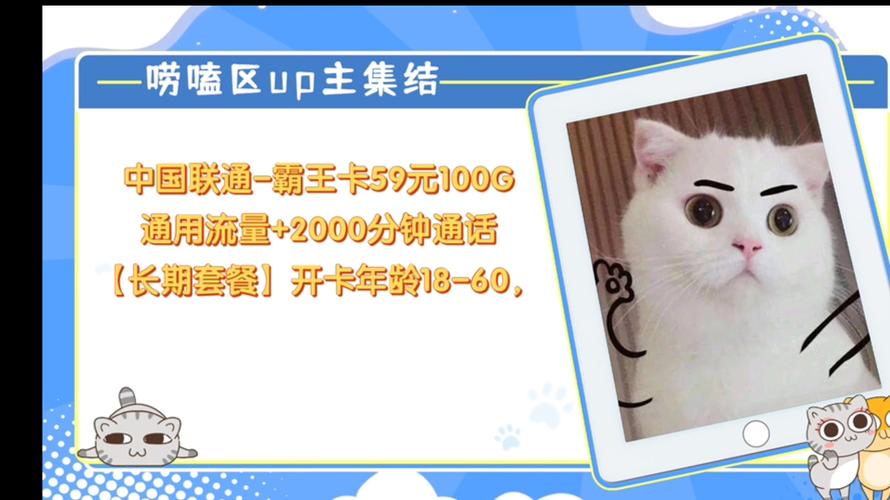 如何选择最适合我的59流量卡？