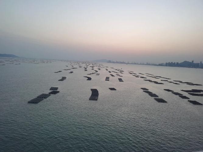 香港卡流量好慢
