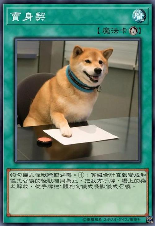 柴犬流量卡