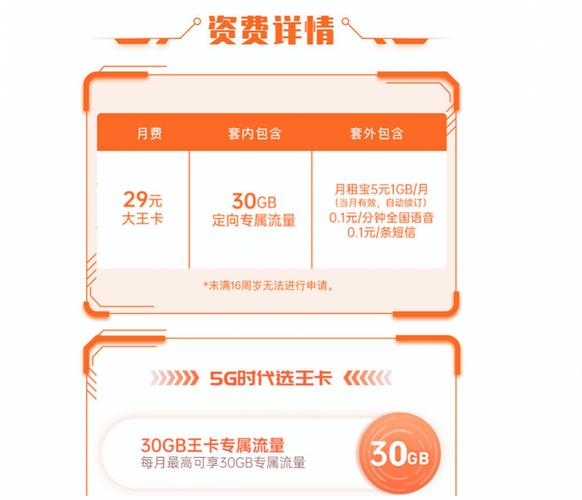 大王卡696流量