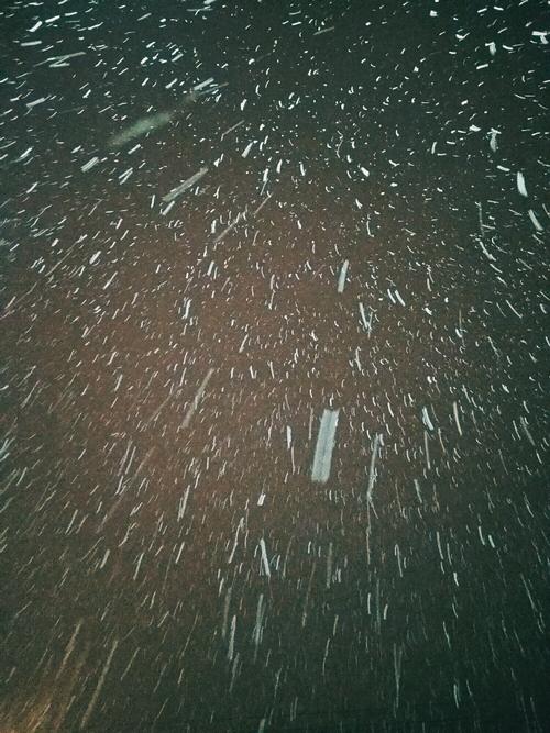 下雪天流量卡