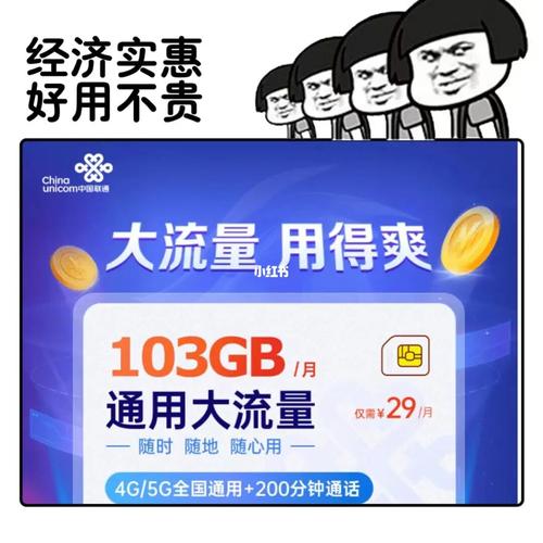 租房纯流量卡