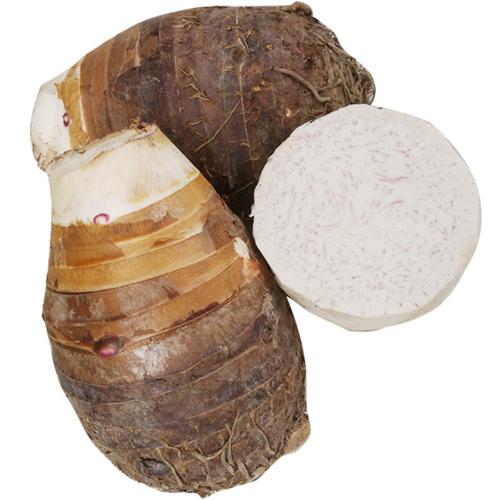 广西荔浦哪里有流量卡卖