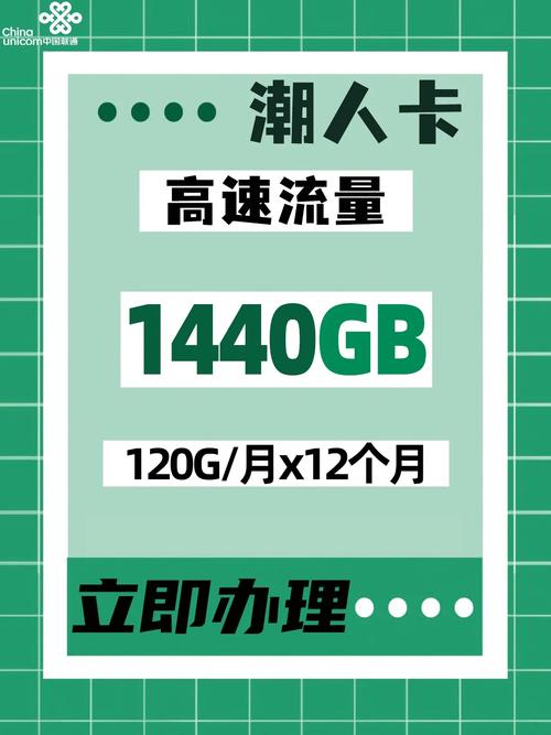 22卡免流量40g
