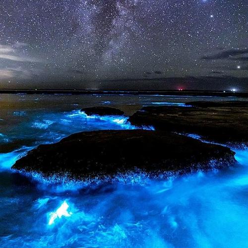 澳大利亚电话卡流量