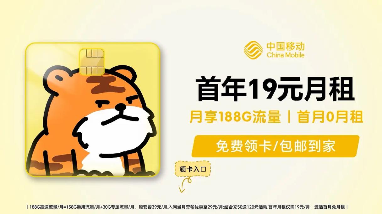 霸王卡的专属流量怎么用
