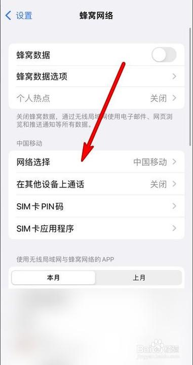 苹果怎么查单卡双卡流量