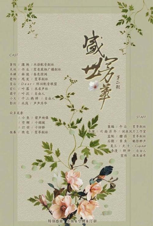 芳华卡定向流量