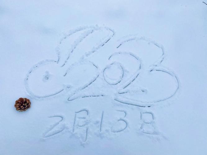 下雪天流量卡