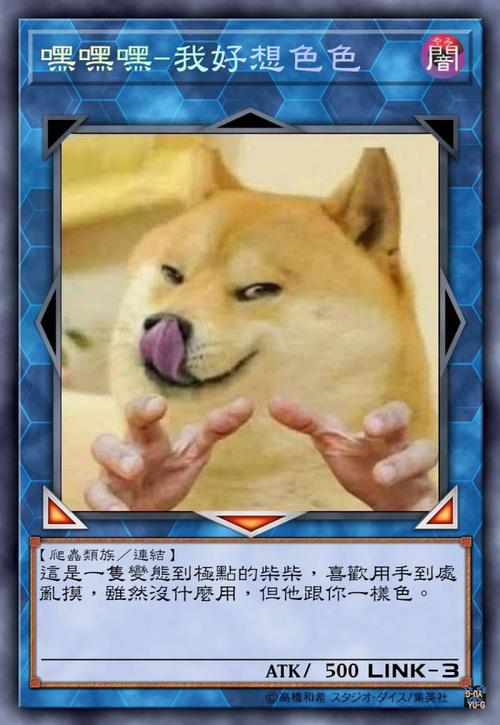 柴犬流量卡