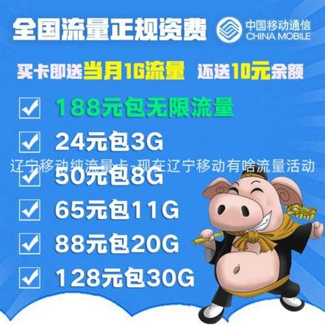辽宁便宜流量卡多少钱