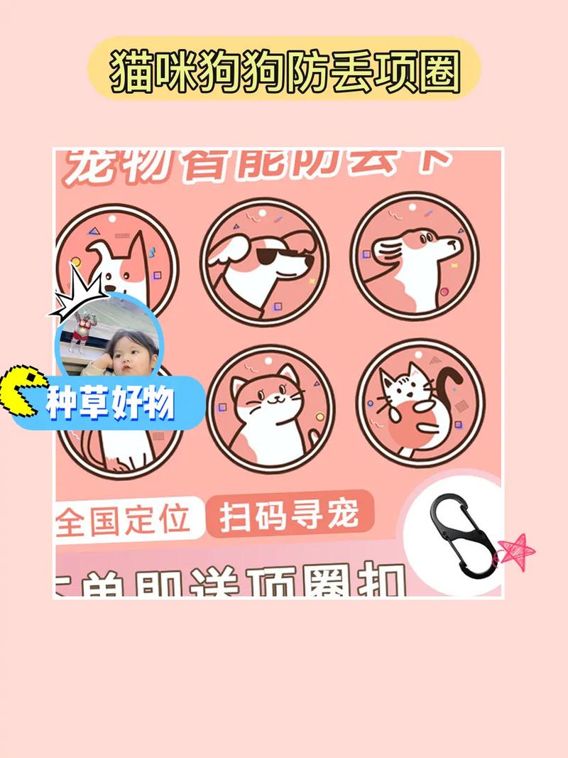 宠物定位流量卡