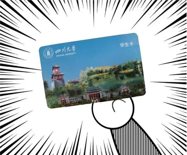川大流量卡