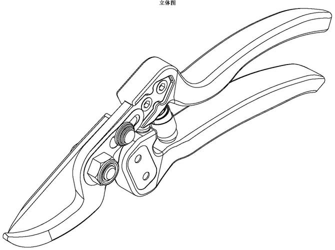 医疗园艺申请专利有哪些条件