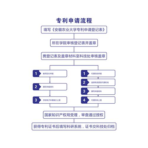 聚拢文胸专利申请流程及步骤