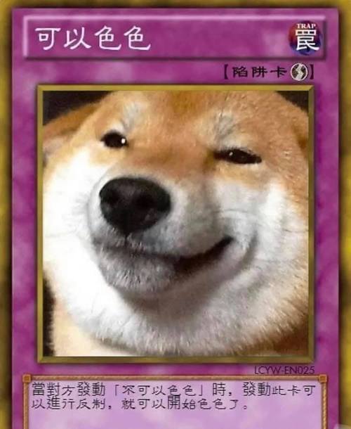 柴犬流量卡