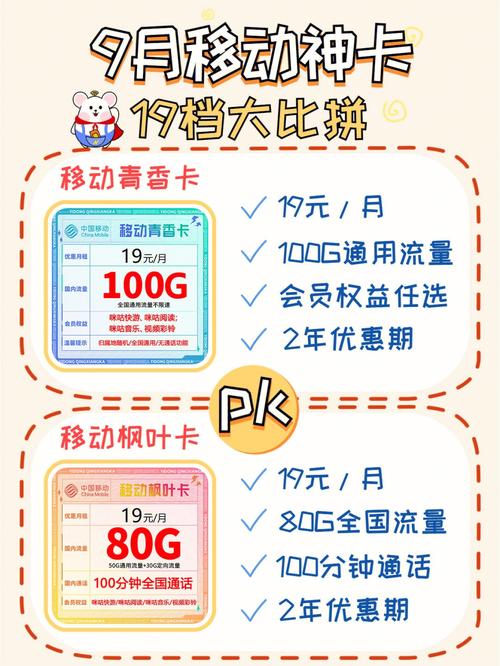 移动光辉流量卡