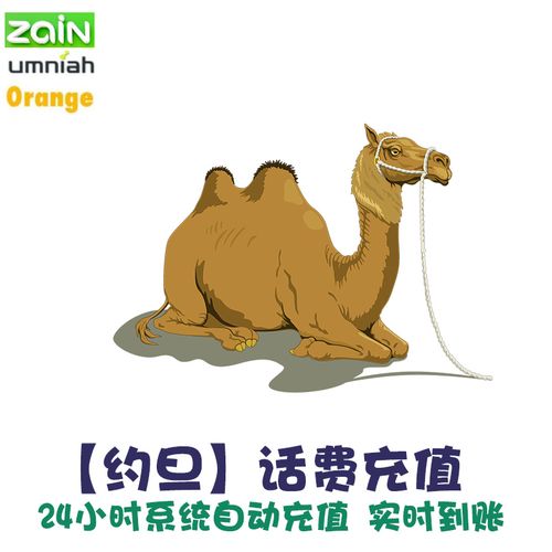 约旦流量卡充值