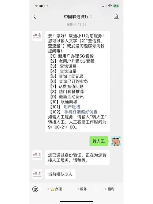 王卡极速流量版申请退订