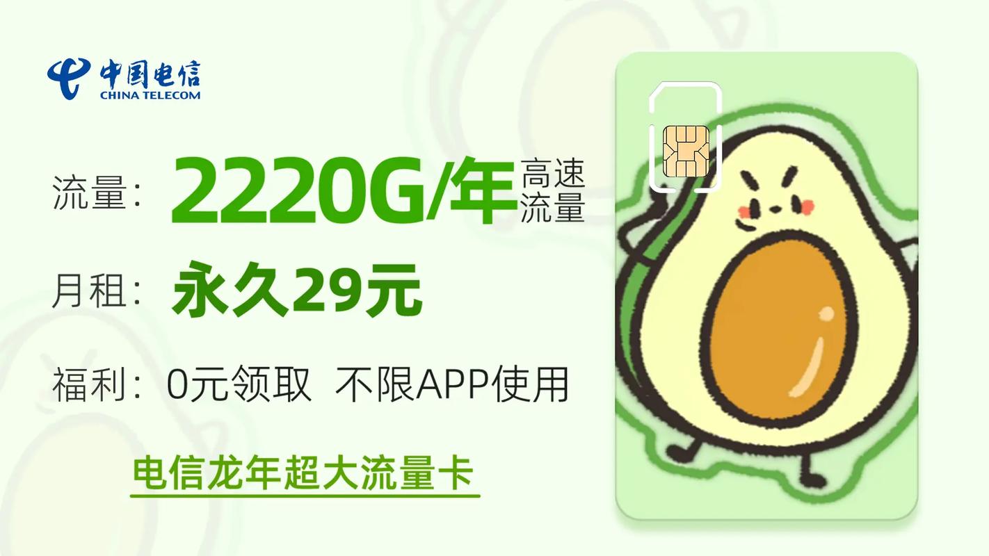 电信2220流量卡
