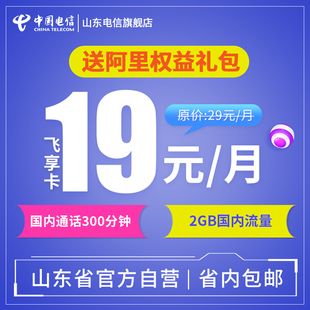飞享卡青春版 流量王