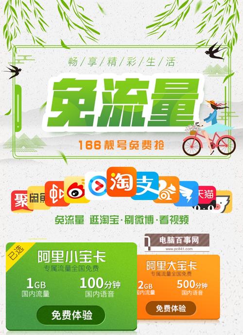 阿里大宝卡流量怎么看