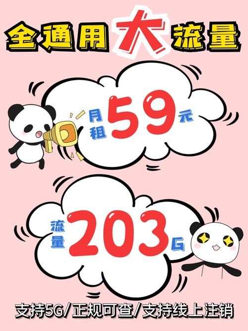 温宿办流量卡