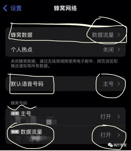 苹果怎么优先用副卡流量