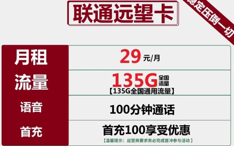 中国 流量游客卡