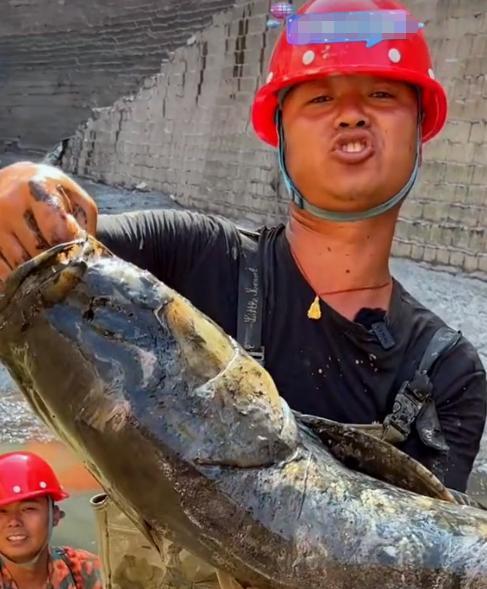 电信卡流量卡大表哥