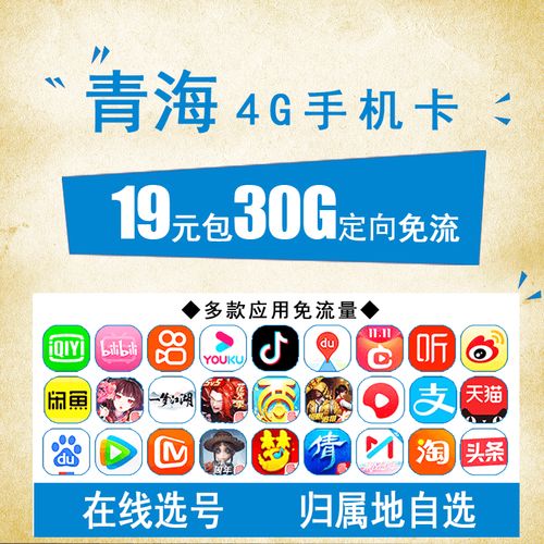 电话卡小流量卡