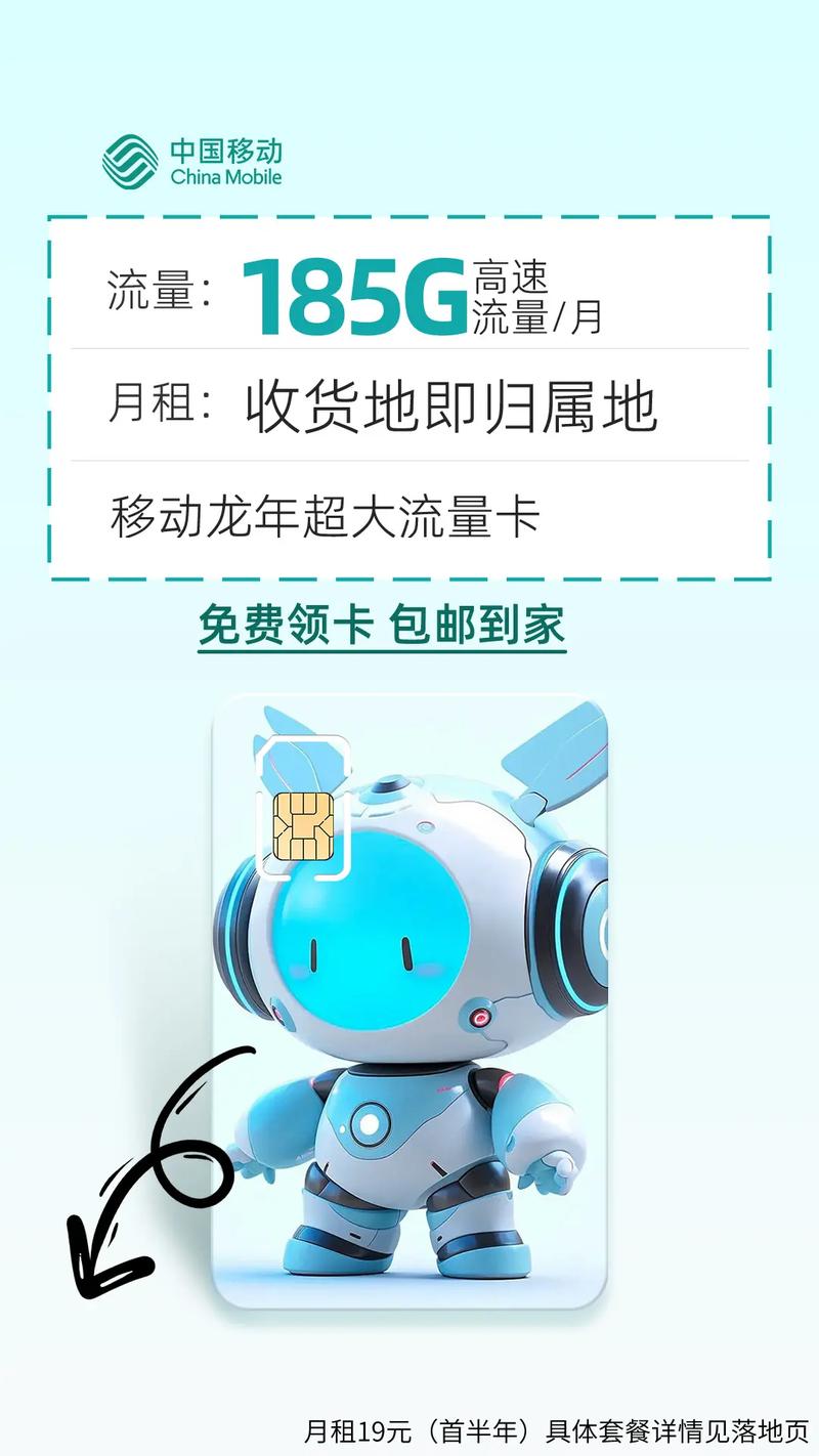 移动小龙卡流量