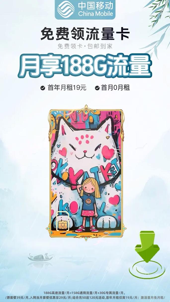 移动小龙卡流量