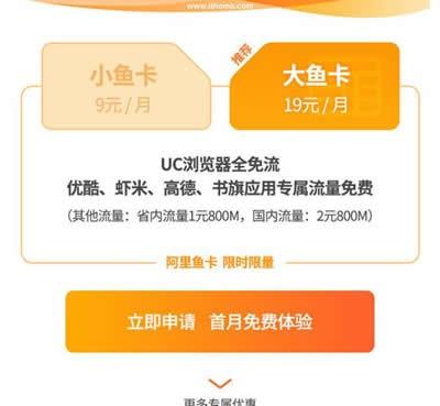 大鱼卡流量超出