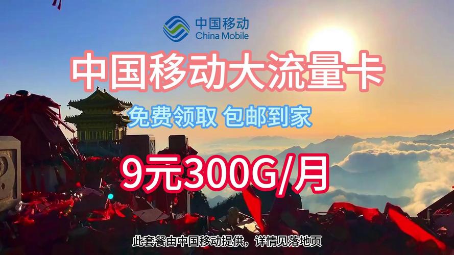 流量卡移动300