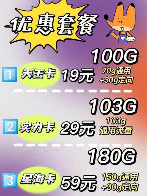流量天王卡资费