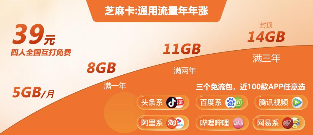 芝麻卡有哪些免流量权益