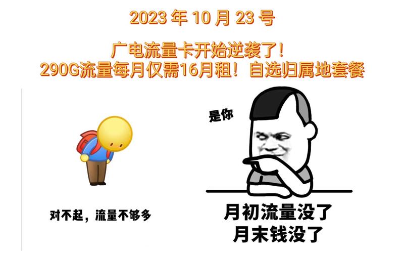 何时开始使用流量卡了