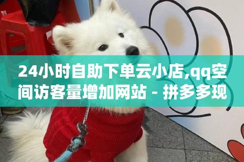 快手业务低价自助平台超低价快手业务低价自助平台超低价