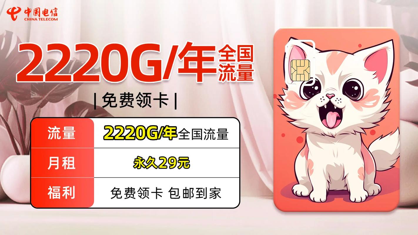 22卡免流量40g