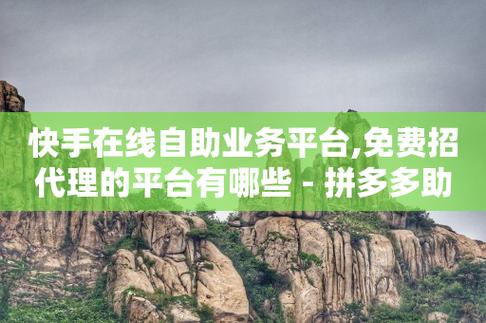 快手自助服务平台抖音自助业务全网最低