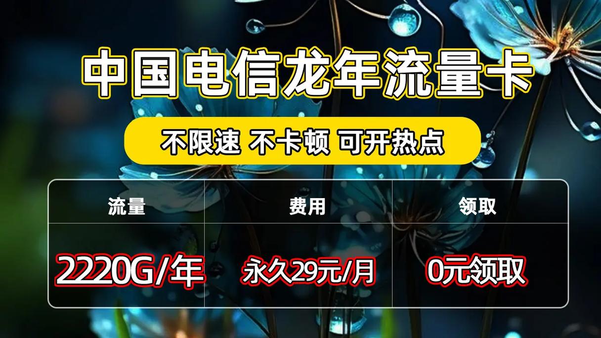 22卡免流量40g