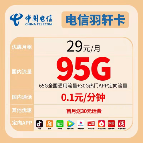 流量卡电信20年
