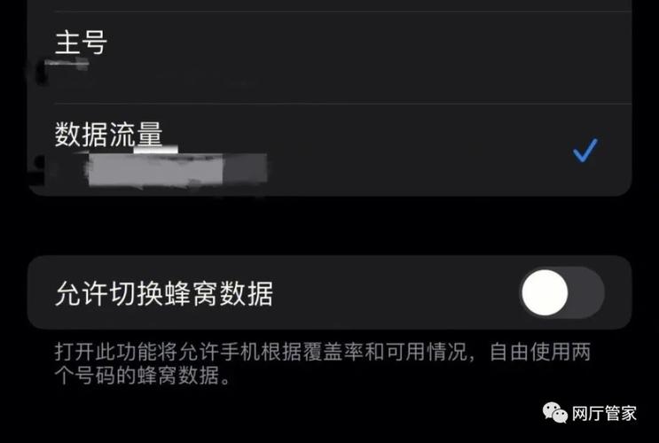 苹果怎么查单卡双卡流量
