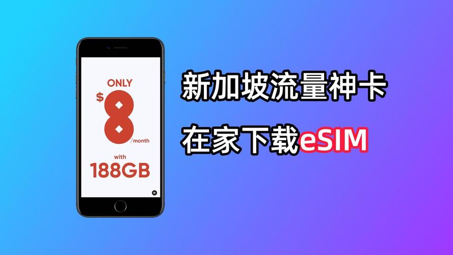 新加坡落地办流量卡