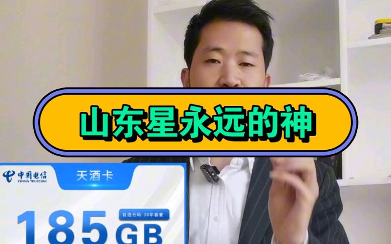 流量卡 电信20年