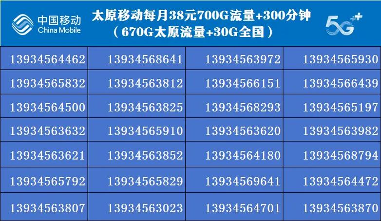 移动流量卡中，哪款提供最快的上网速度？