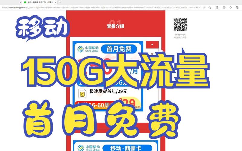 现在这个卡每月多少流量