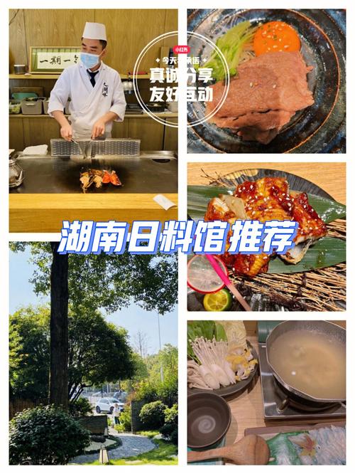 湖南长沙岳麓区流量卡